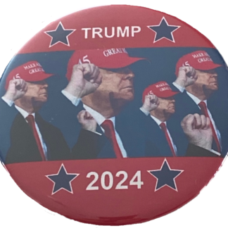 Donald Trump - 2024 pins